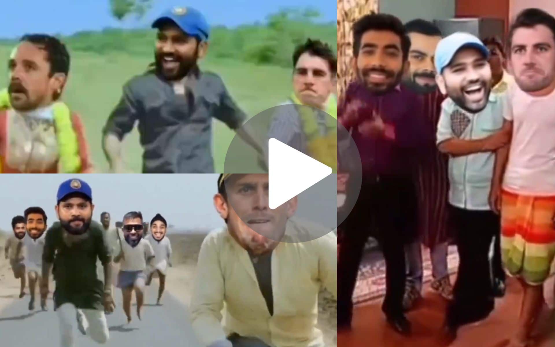 'Congratulations Australia' Goes Viral On Twitter As India Celebrates AFG's Victory vs BAN